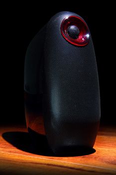 Black speaker on wooden floor