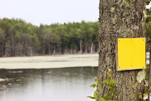 A yellow blank posted sign on a tree with a pond in the background.