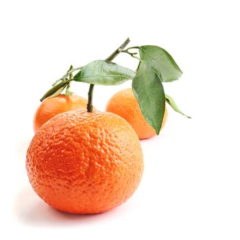 Orange on the white background