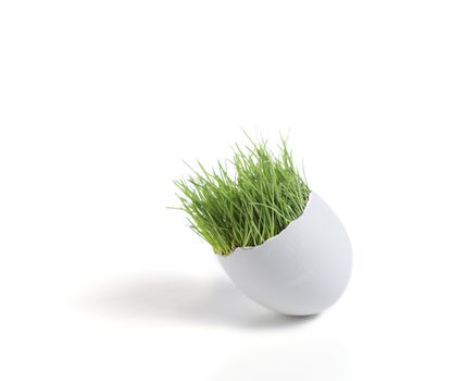 A single white egg with grass growing out of it.