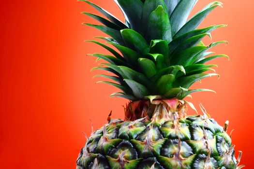 Colorful pineapple on red and orange background