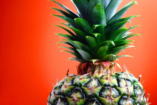 Colorful pineapple on red and orange background