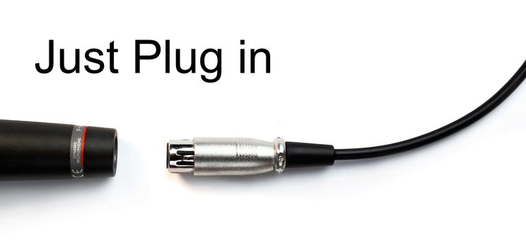 Mic and plug in jack