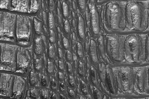 Detailed closeup photo of a crocodile leather