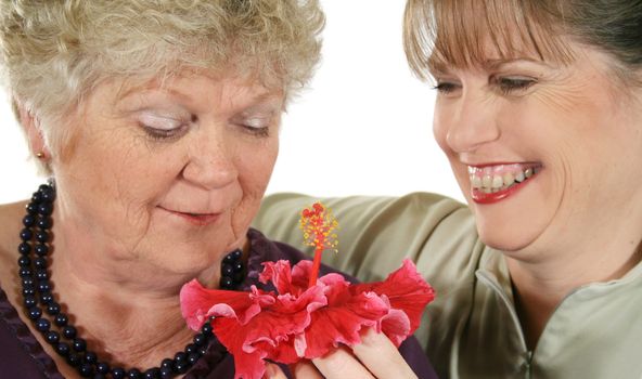 Middle aged daughter presenting mother with a hibiscus flower.