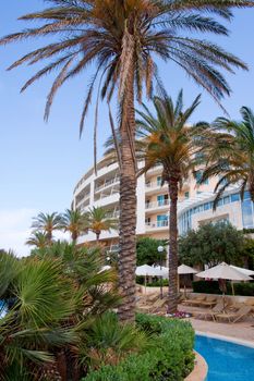 Spa and pool area with palm trees luxury apartment complex