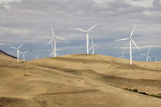 Wind Turbines Energy Farm in Windy Point Goldendale Washington Landscape Terrain