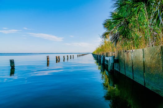 water life and beach scenes at destin florida