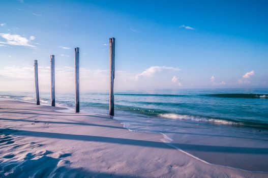 old pier pile support columns standing along the beach