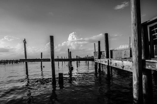 classic black and white pier scene