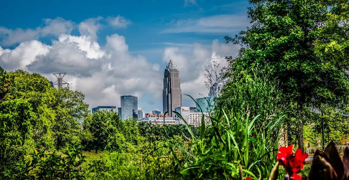 Charlotte, North Caroline city buildings skyline in bright daylight