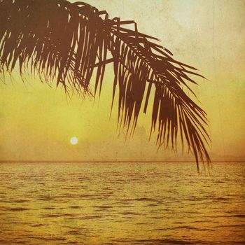 Coconut palm tree silhouetted and sunrise 
in vintage background