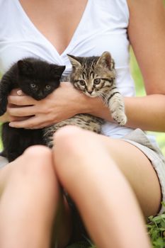 Close up of girl with cute little cats outdoors