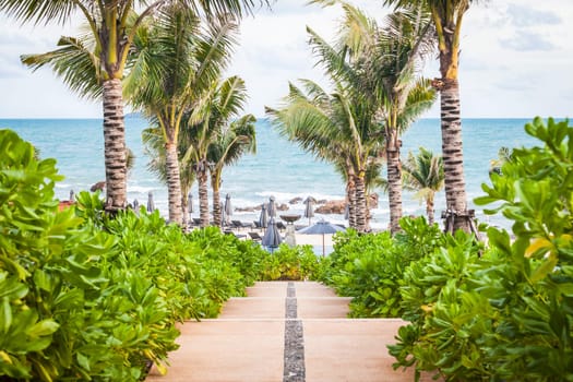 Walkway to the beach in a beautiful Park with Palms, Rayong Beach, Thailand.