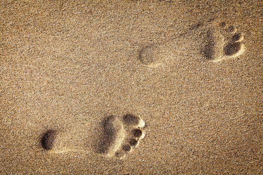 footsteps in sandy on the beach