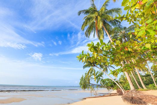 Bangsak beach in blue sky and palm trees at Phangnga, Thailand.