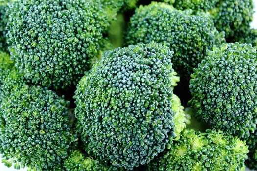 Fresh broccoli in closeup