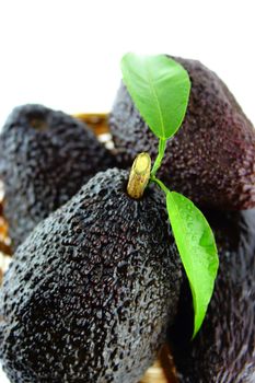 Avocados with leaves on a Dish of straw