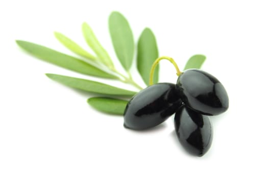 Black Olives with leaves on a white background