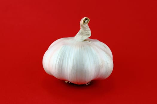 Garlic and garlic bulb on red background