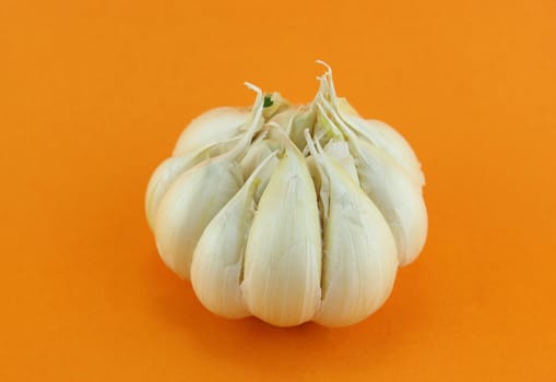 Garlic and garlic bulb on orange background