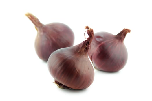Ripe red onions on white background.