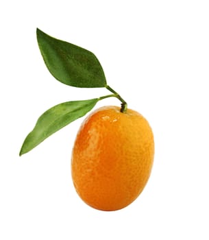 Sweet Small Orange Fruit with leaves. with a clipping path