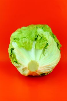 Fresh Green Iceberg lettuce on red background .