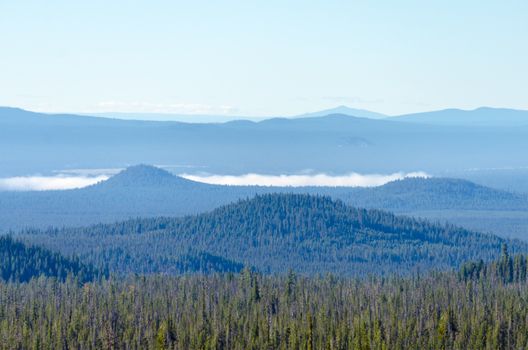 Beautiful forest covered hills in Central Oregon