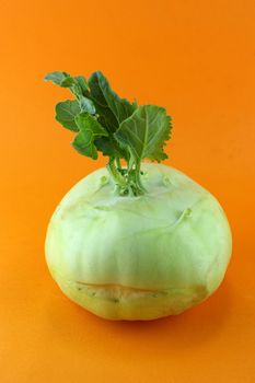 Cabbage kohlrabi on orange background