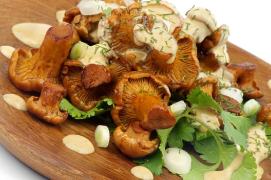 Delicious Roasted Edible Chanterelles with Cheese Sauce, Dill and Parsley on Wooden Plate closeup