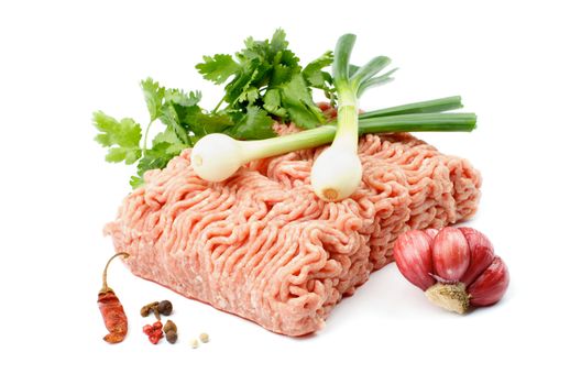 Arrangement of Raw Minced Meat with Parsley, Spring Onion, Garlic and Spices isolated on white background