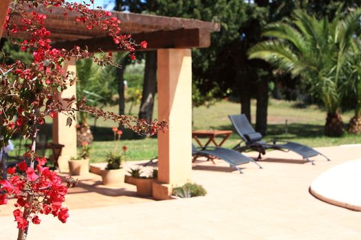 Tropical garden with lounge chairs and bougainvillea