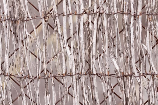 natural background texture material outdoor old abstract