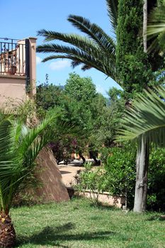Balcony and garden view with palm trees
