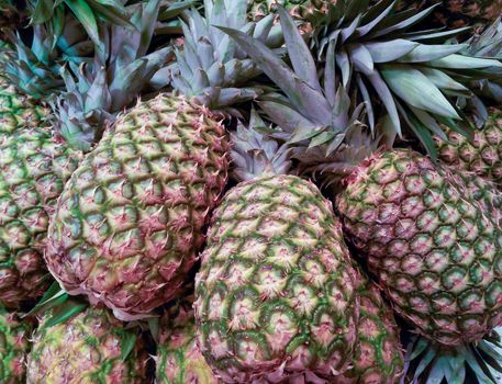 Pineapples lying together, side by side, closeup