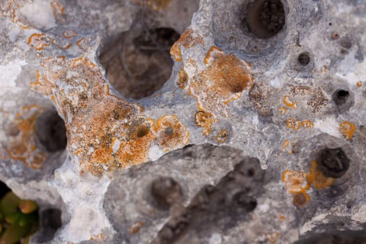 natural background texture material outdoor old abstract