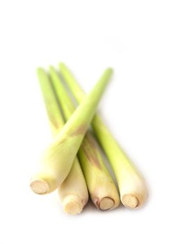 Fresh Lemon Grass isolated on white background