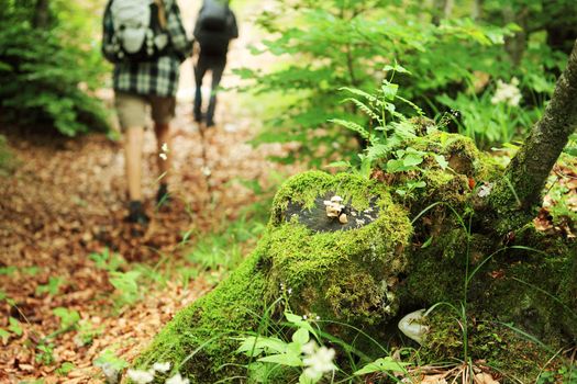 Young couple nordic walking on path in the forest