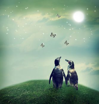 Two penguin friendship or love theme image at a fantasy landscape