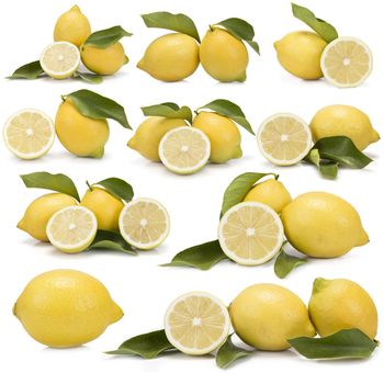 Great set of photographs of lemons with leaves isolated over a white background