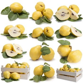 Set of photographs of quinces with leaves isolated over a white background