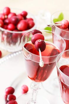 Cranberry juice with fresh cranberries in an elegant glass