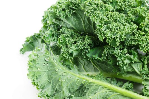 Fresh kale with morning dew isolated on a white background