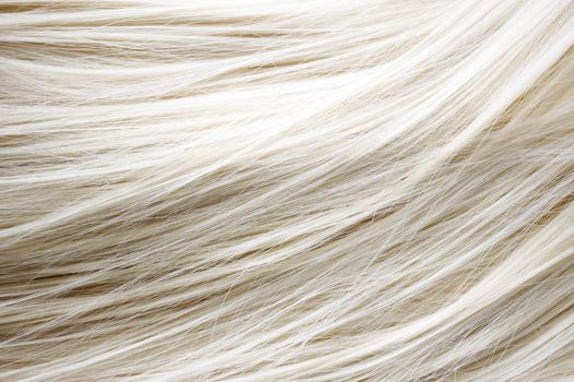 Healthy blonde hair - close up image