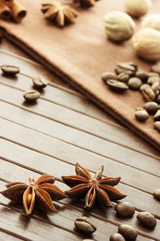 Collection of spices - star anise, coffee beans, nutmeg and cinnamon sticks