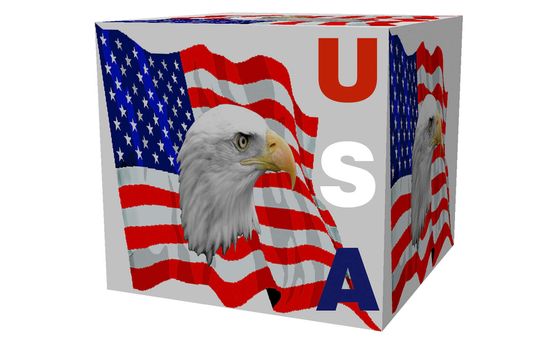 a usa flag and eagle cube in 3 d