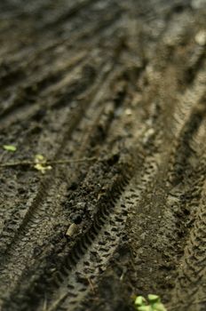 Background Of Mountain Bike Tracks In The Mud With Shallow Depth Of Field