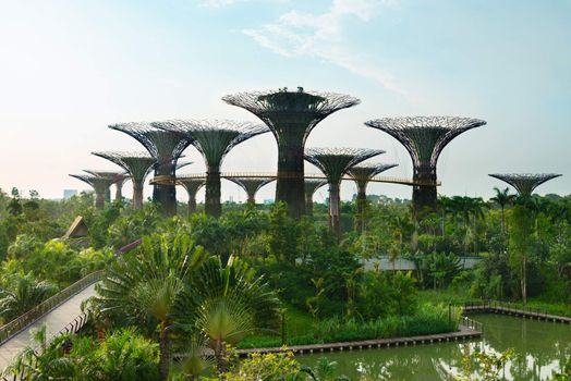 Gardens by the Bay, Singapore with artificial supertree grove as a vertical gardens. 