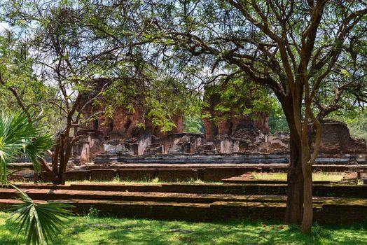 Hidden behind tropical jungle tree ruins of royal palace in ancient Sri Lanka capital Polonnaruwa